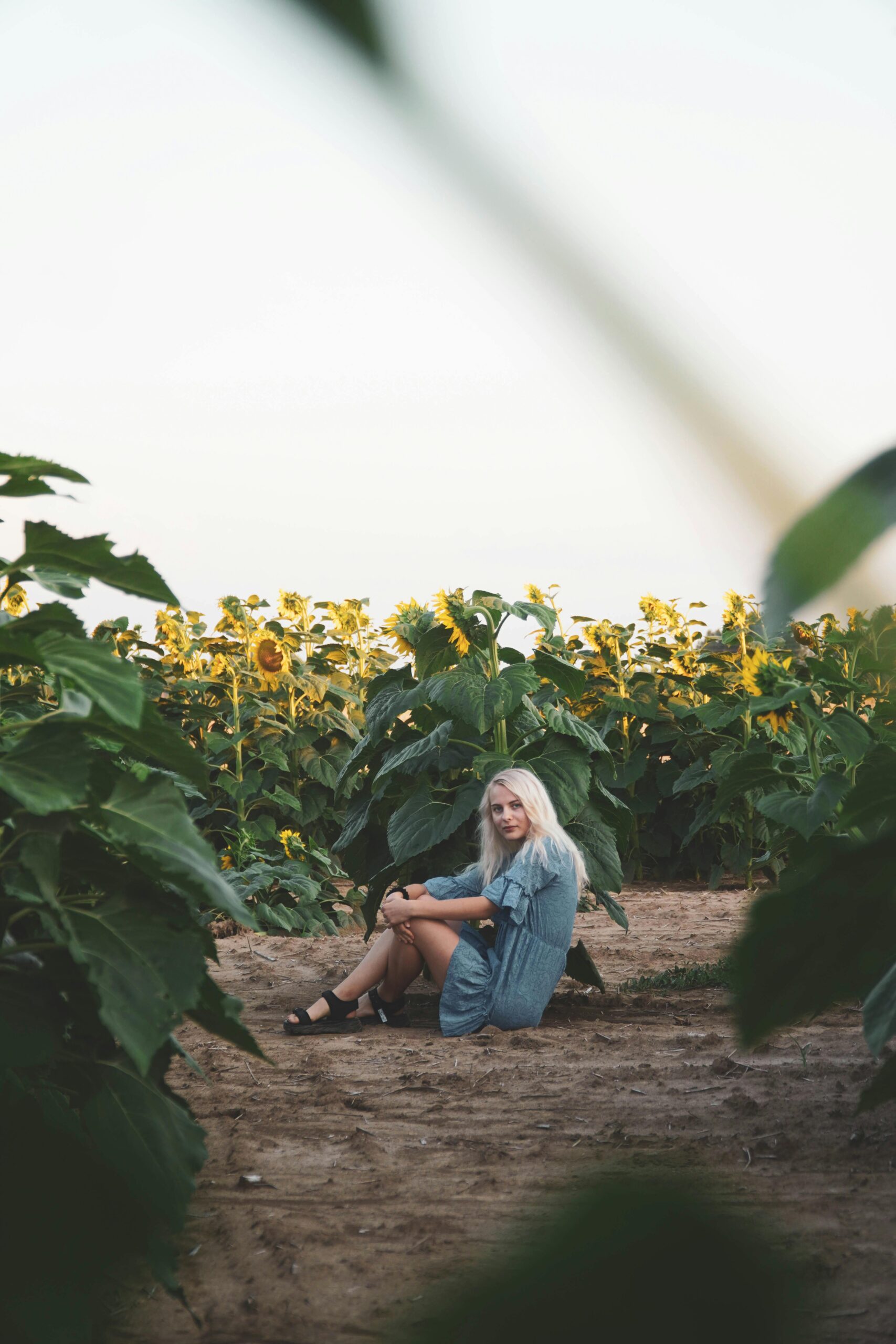 pexels katherine mihailova 7393595 9275290